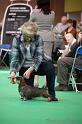 Crufts2011_2 975